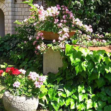 Guest House Caterina ポレッチ エクステリア 写真
