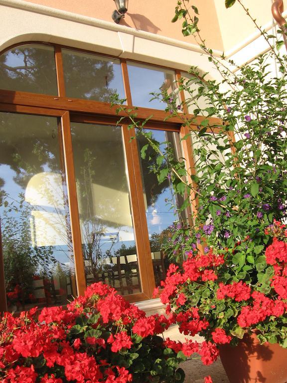 Guest House Caterina ポレッチ エクステリア 写真